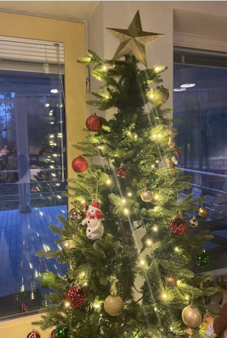 Vuosikokous ja pikkujoulut