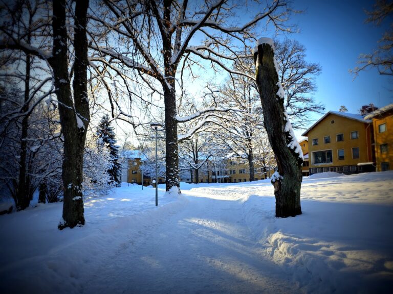 Vapaat työhuoneet Auroratalossa