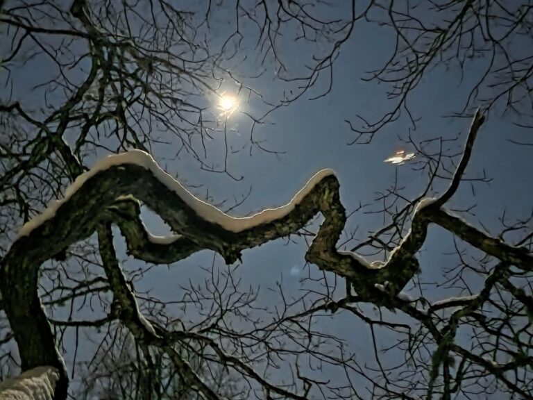 Helmikuun 2026 jäsenkirje